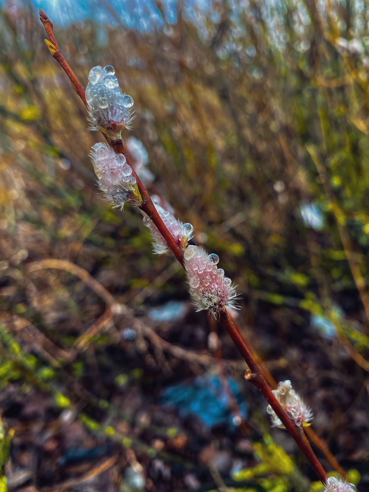 Photograph by Елизавета