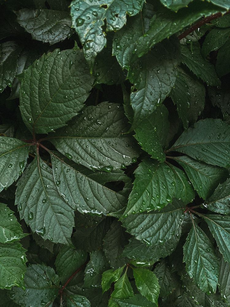 Photograph by Елизавета