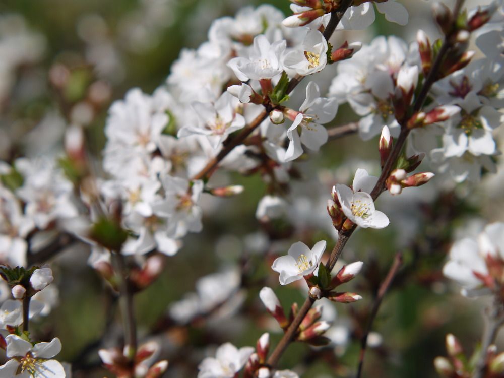 Photograph by Баженова Наталья