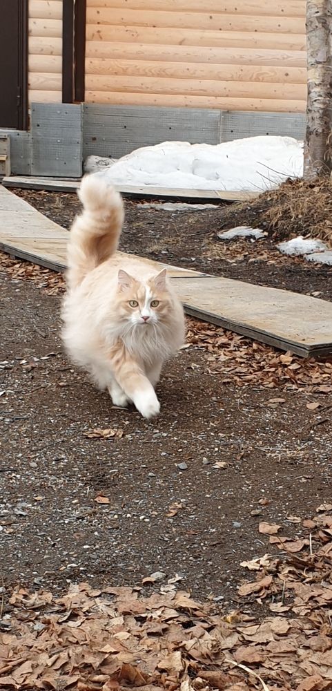 Фотография автора Татьяна Канашина