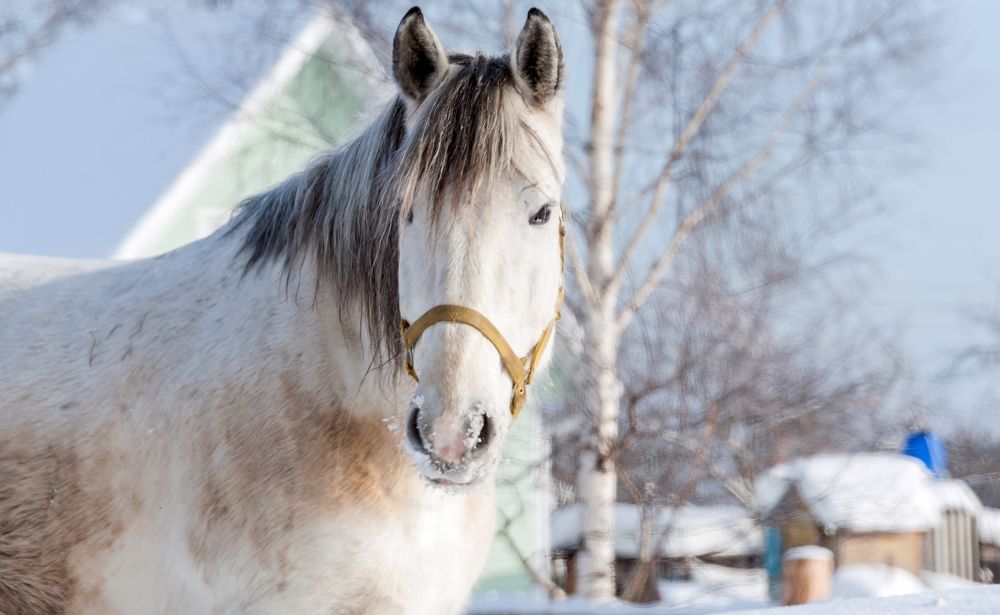 Photograph by Valery Kleymenov