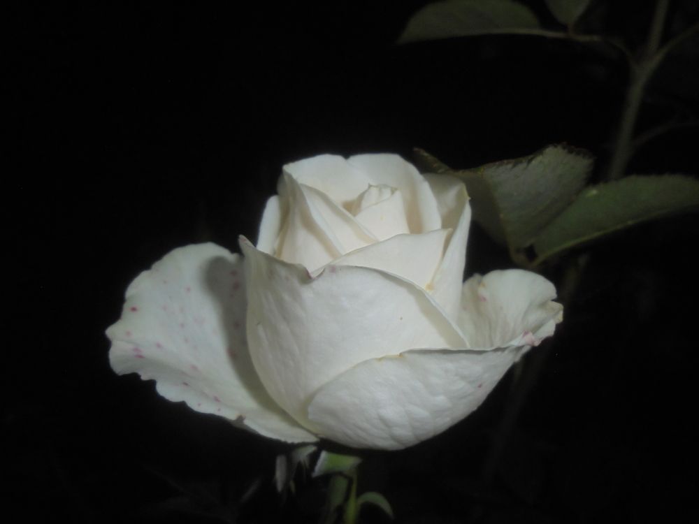 Совершенство