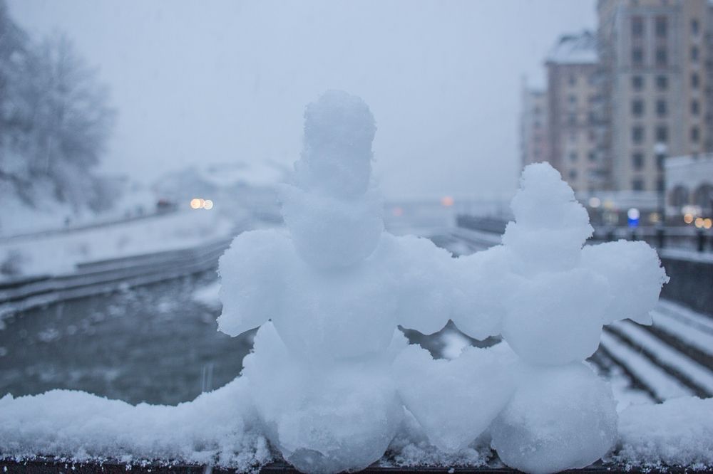 Photograph by Елена Шахова