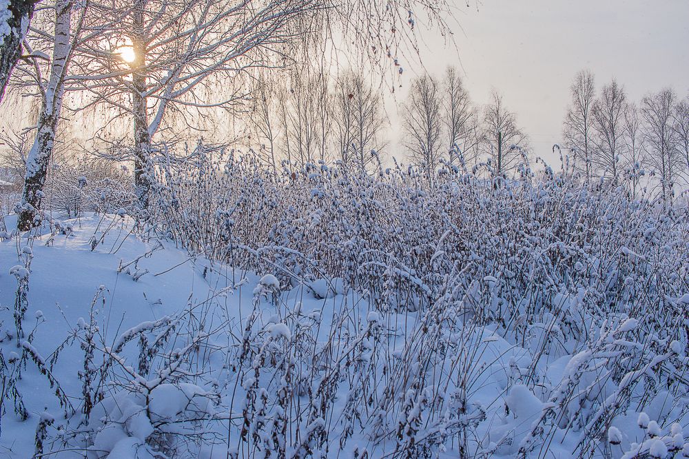 Photograph by Елена Шахова