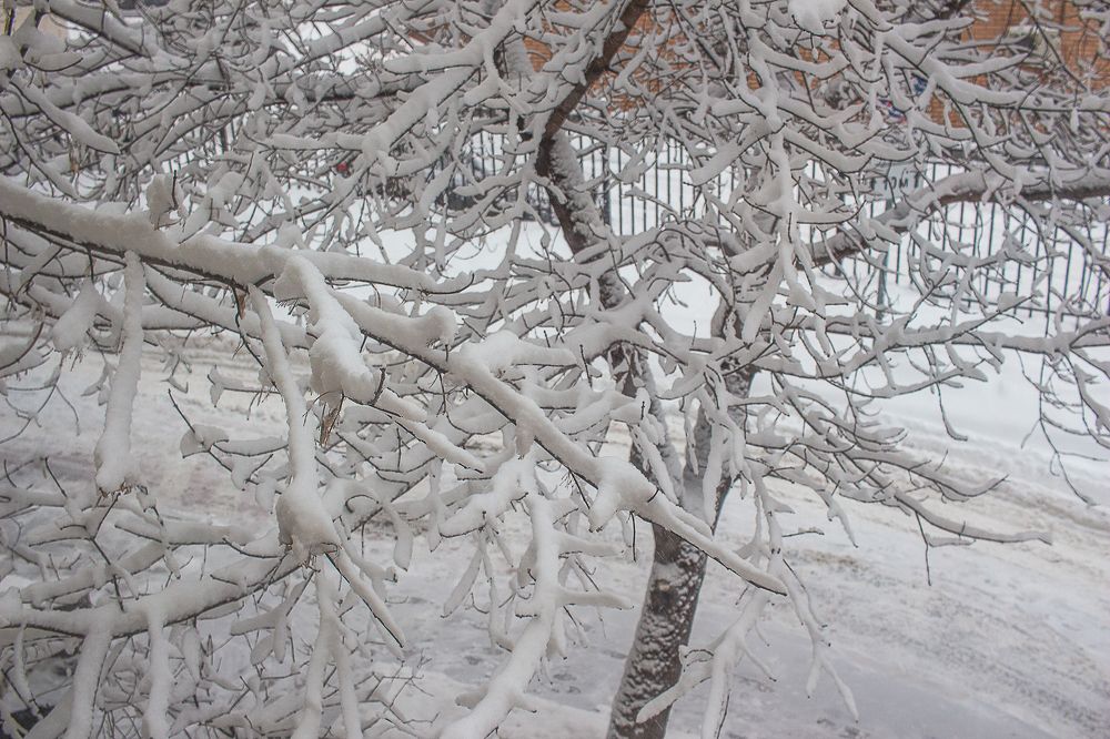 Photograph by Елена Шахова