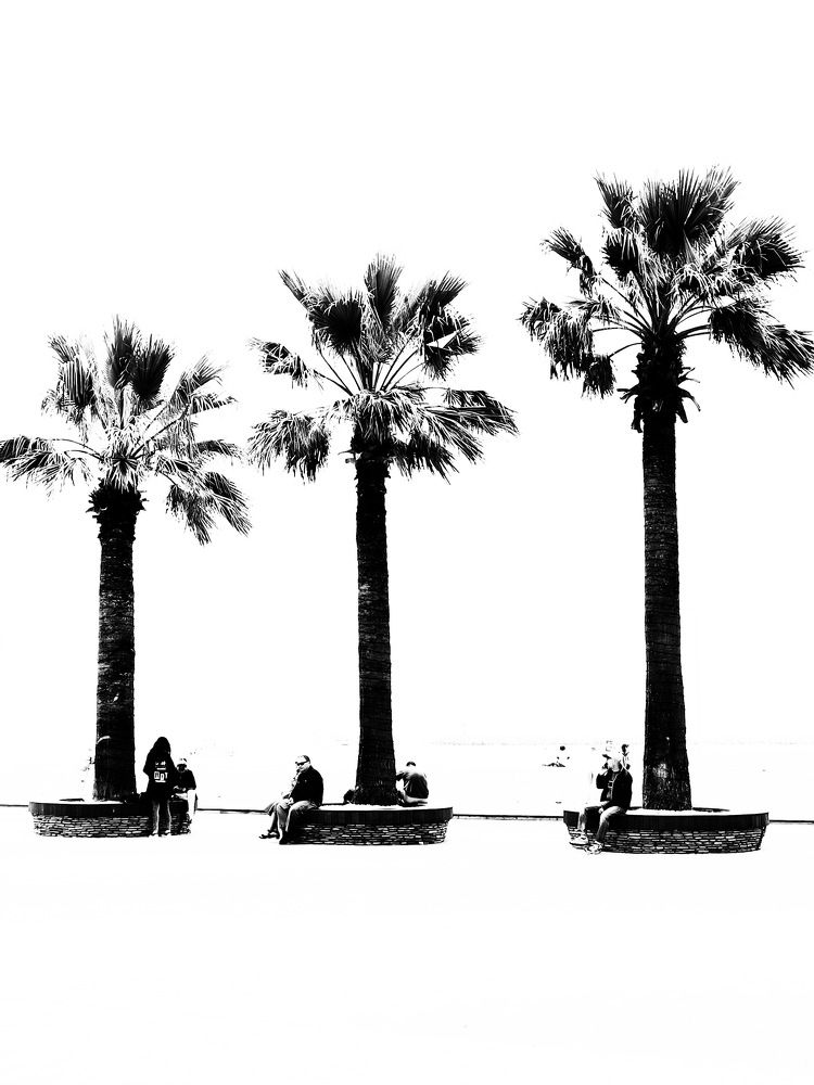 Photograph by Людмила Евстратова