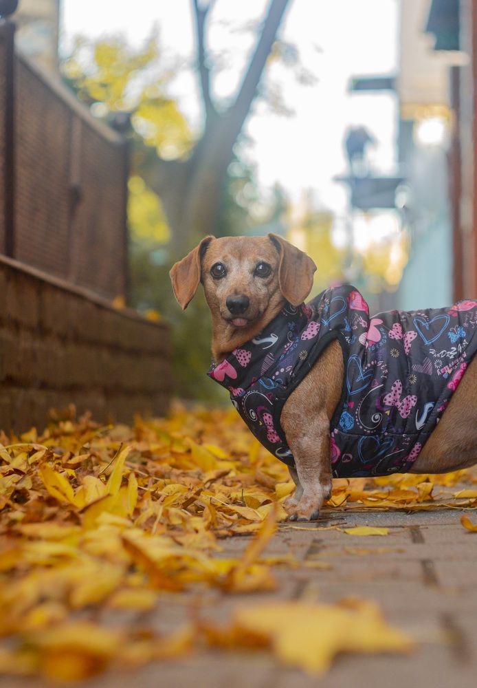 Photograph by Ilyin Evgeny