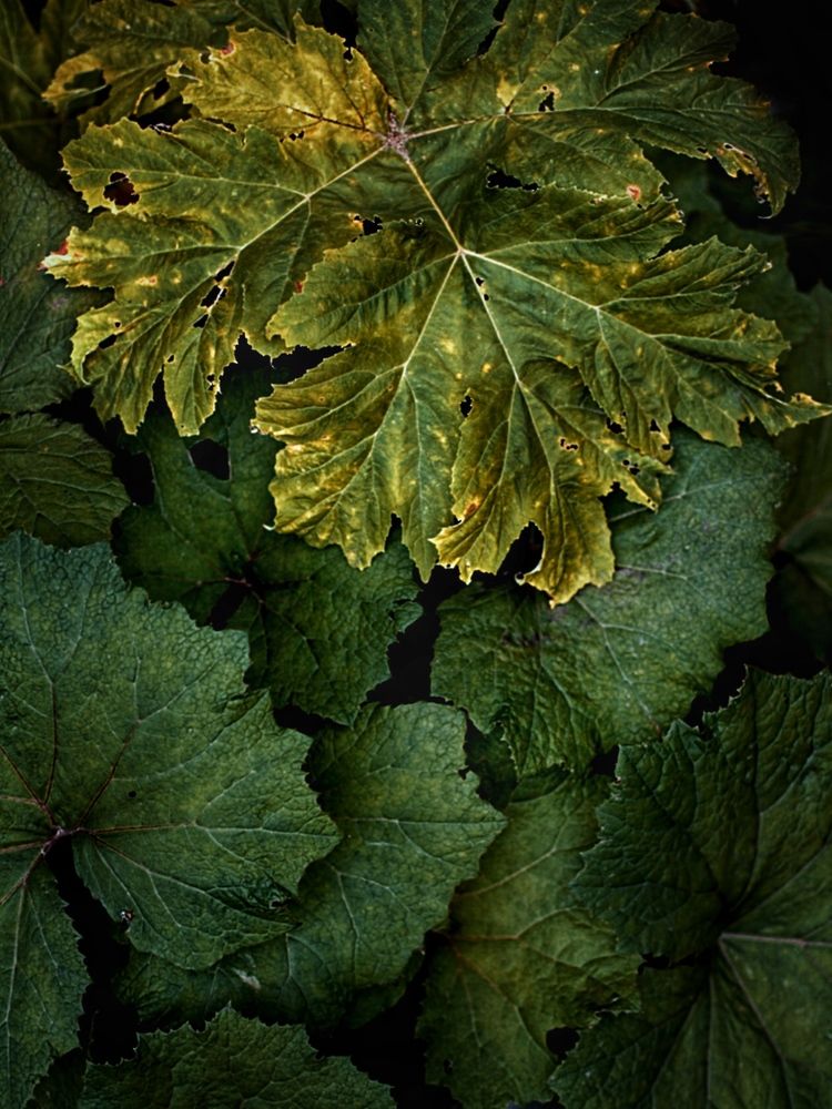 Photograph by Людмила Евстратова