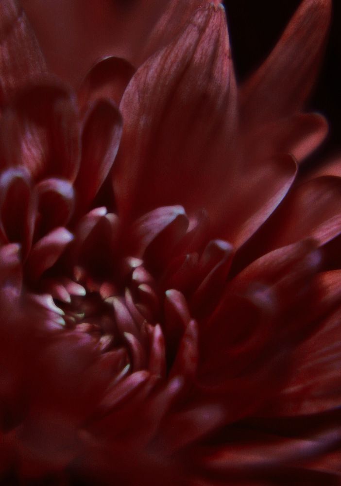 Photograph by Людмила Евстратова