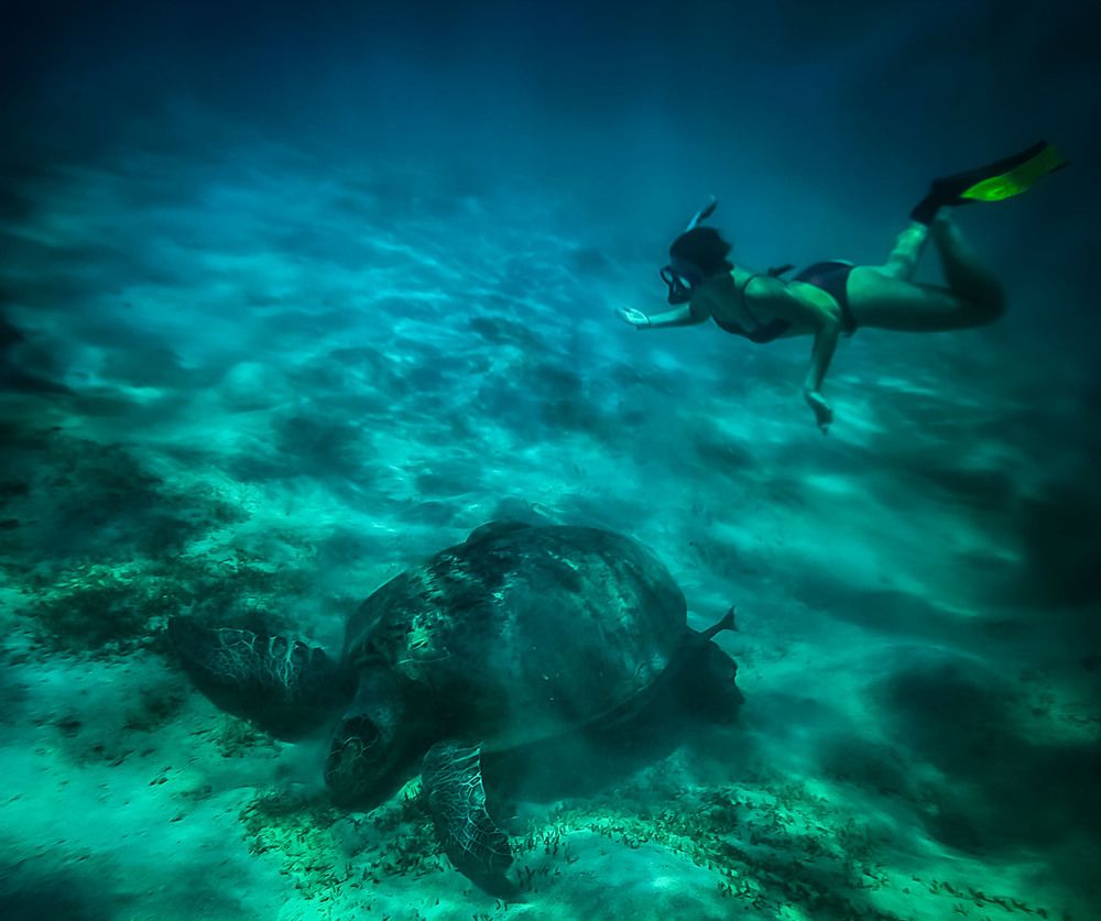 Photograph by Владимир Михайлов