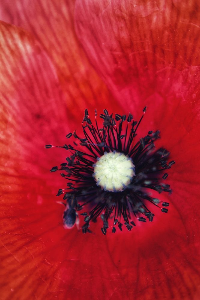 Photograph by Людмила Евстратова