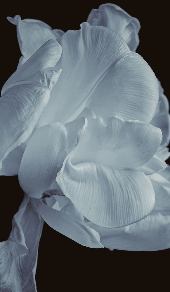 Photograph by Татьяна Гулакова