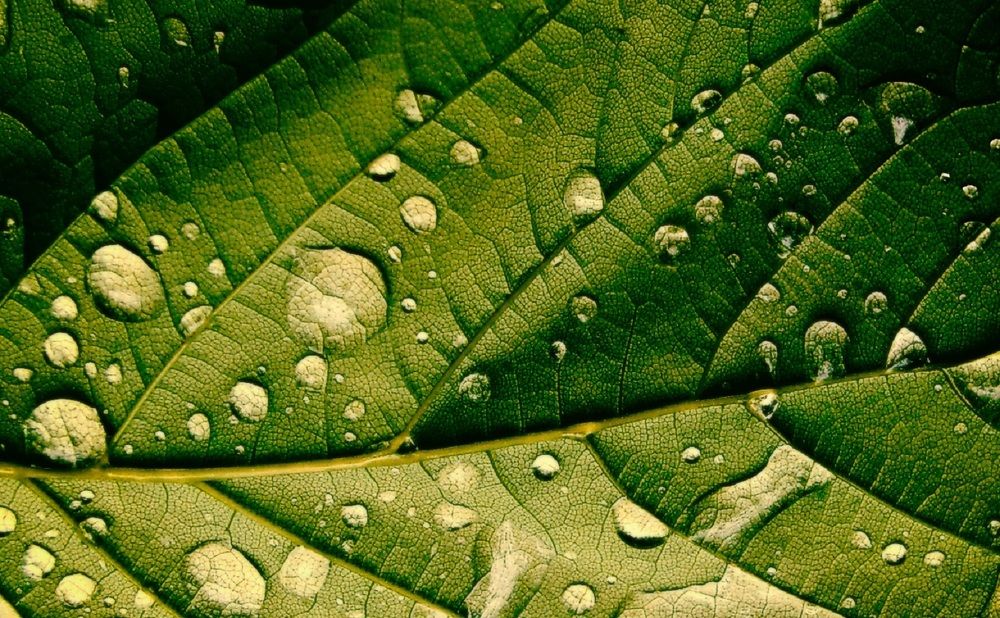 Photograph by Владимир