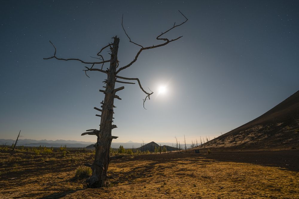 Фотография автора Антон Сандалов