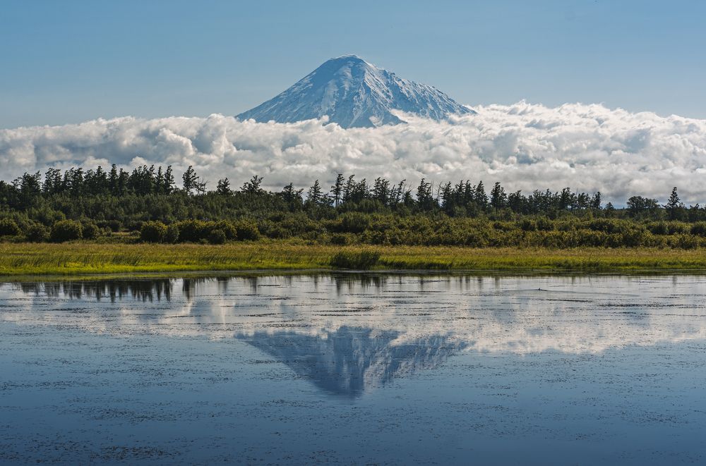 Фотография автора Антон Сандалов