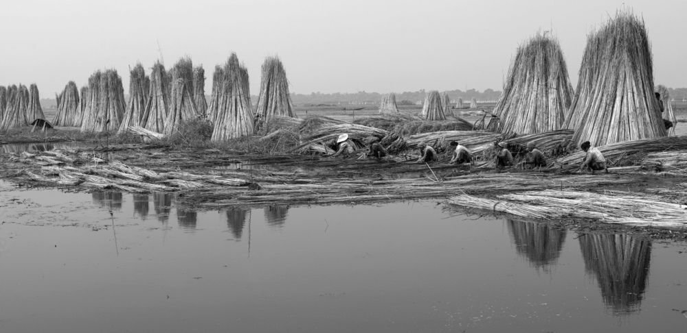 Photograph by ANIRBAN CHAKRABARTI