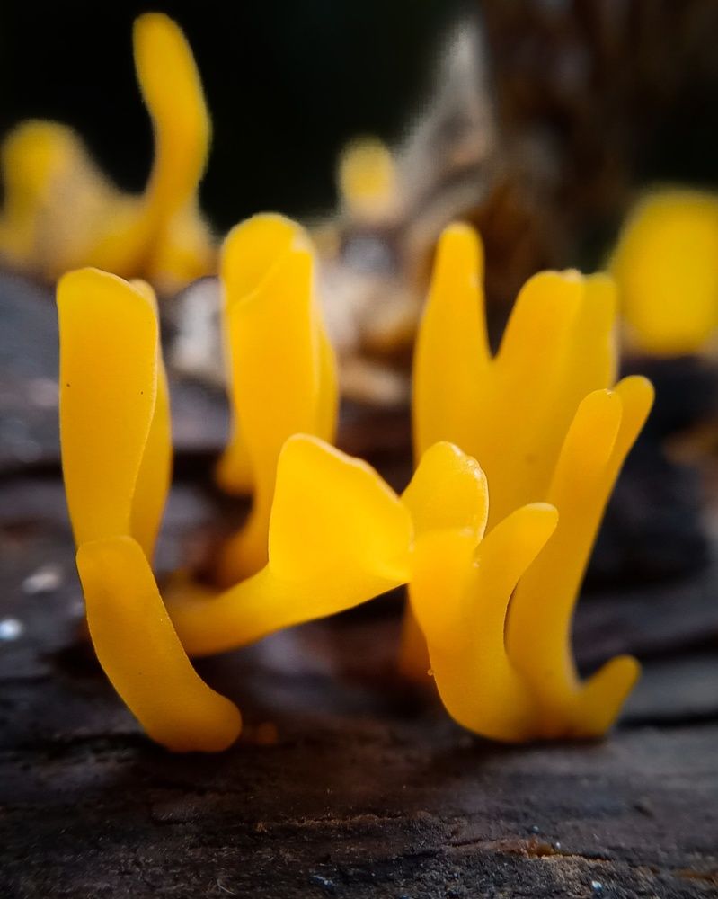 Photograph by Thimira dinisuru