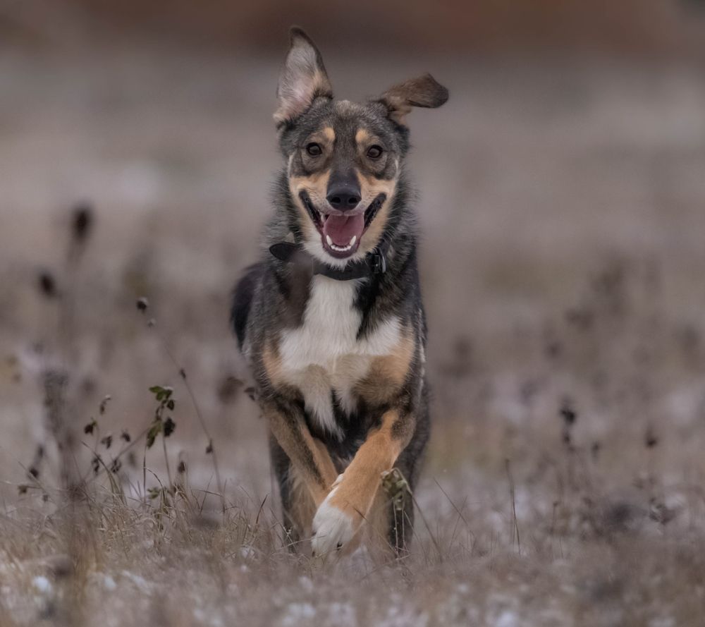 Photograph by Елена Хорохорина