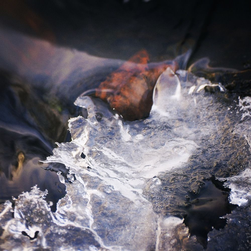 Фотография автора Martineb