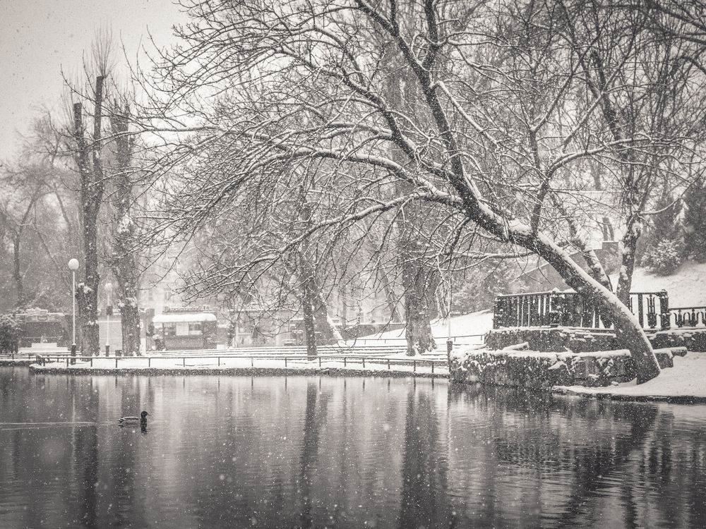 Photograph by Антон Данилов