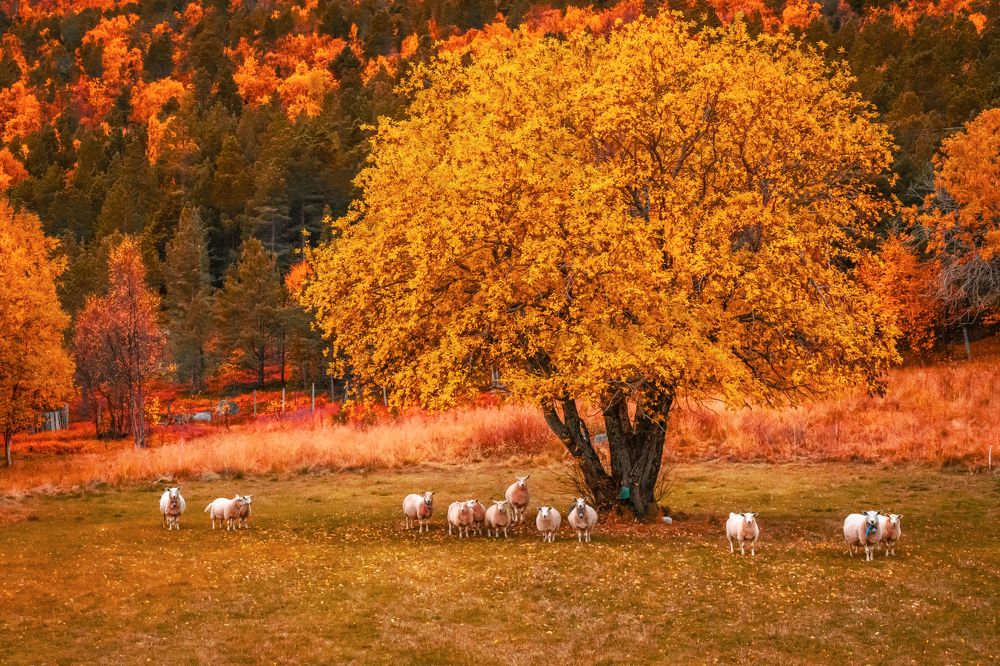 Photograph by Katrin Lillenthal