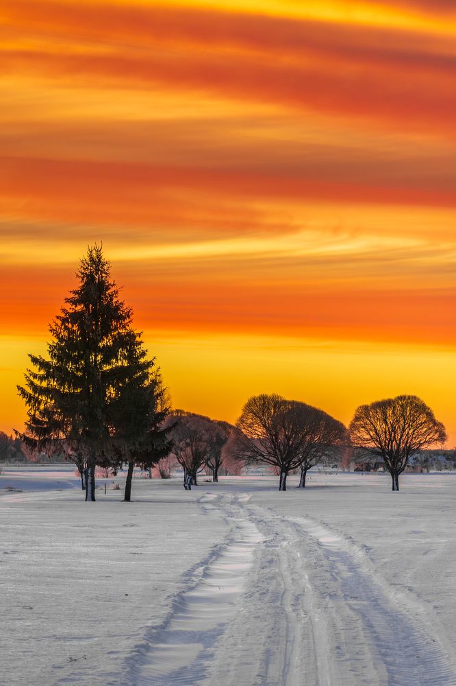 Фотография автора Katrin Lillenthal