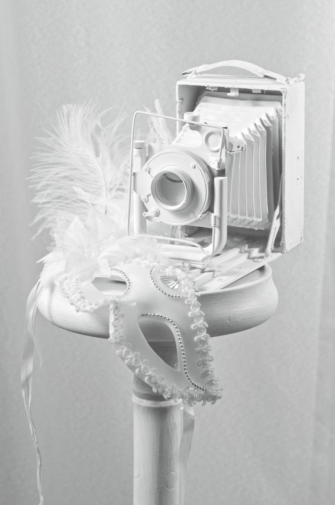 Photograph by Новиков Владимир