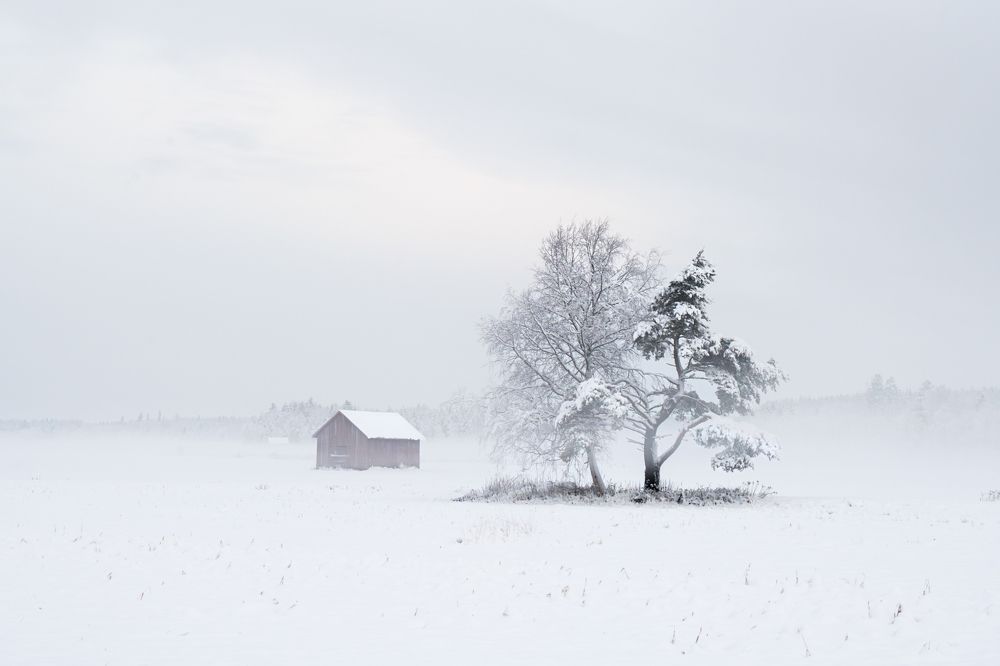 Photograph by Katrin Lillenthal