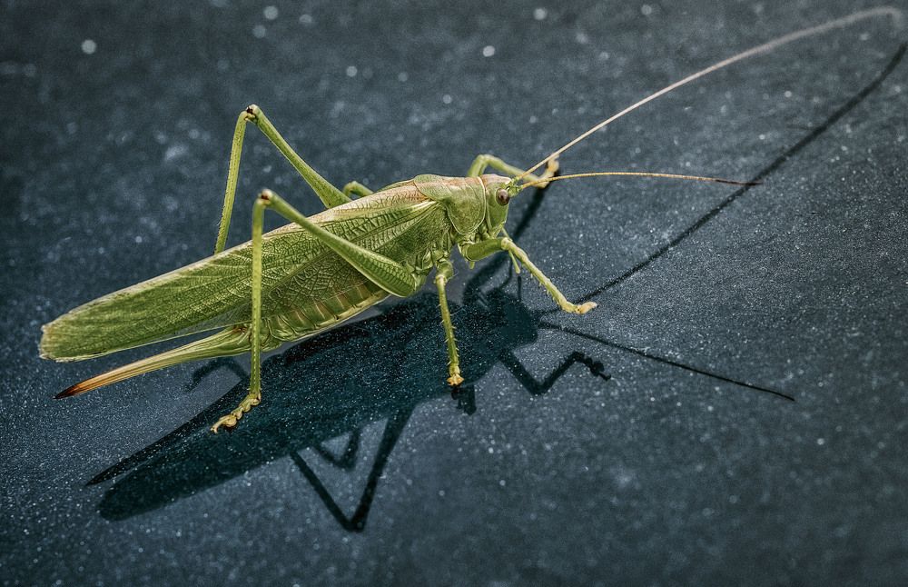 Photograph by Юлия Лушникова