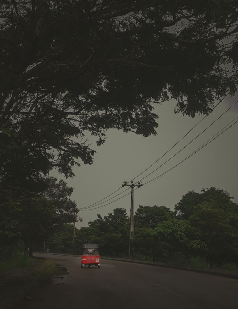 Photograph by Kasun Wickramasinghe