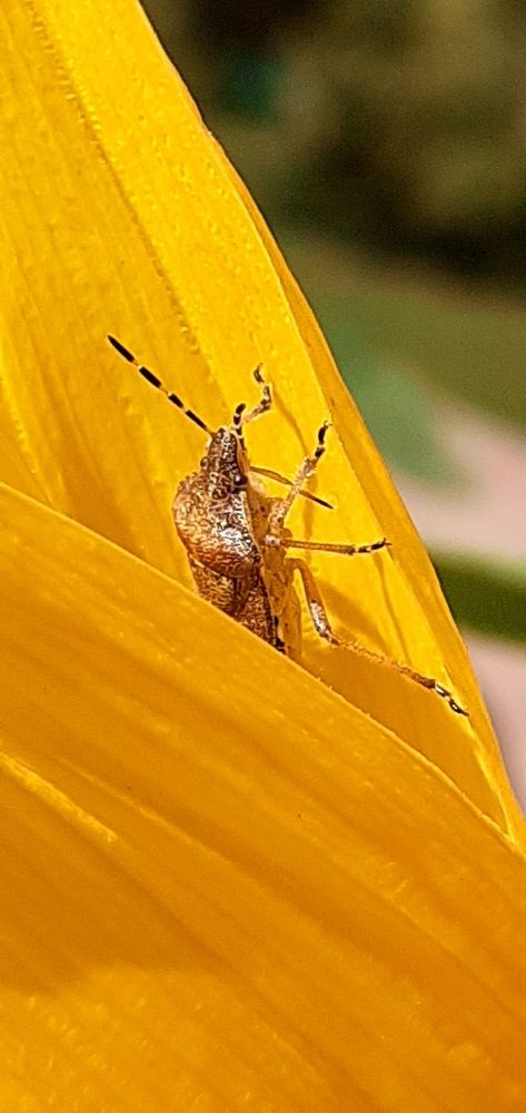 Photograph by Евгения Ульянова