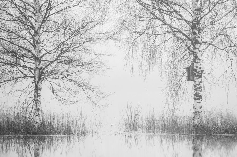 Фотография автора Katrin Lillenthal