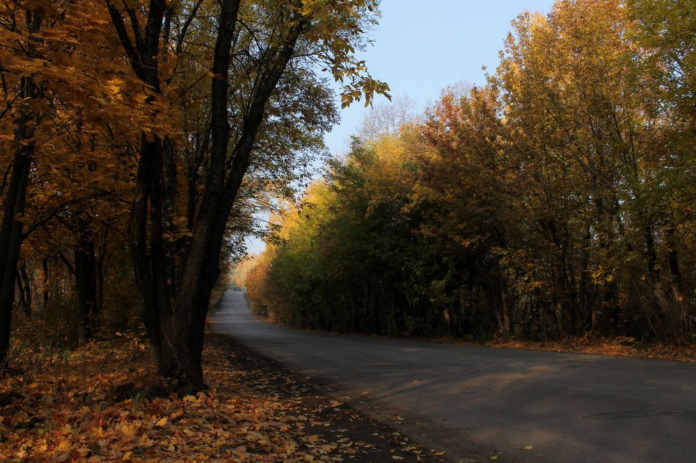 Photograph by Алия Кутлова
