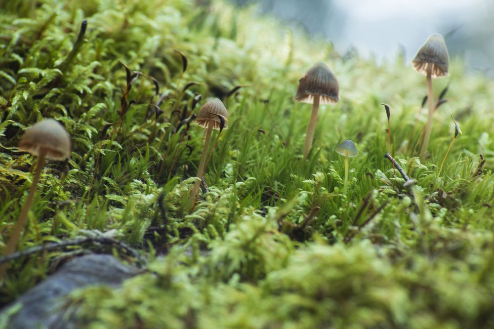 Photograph by KateAkh