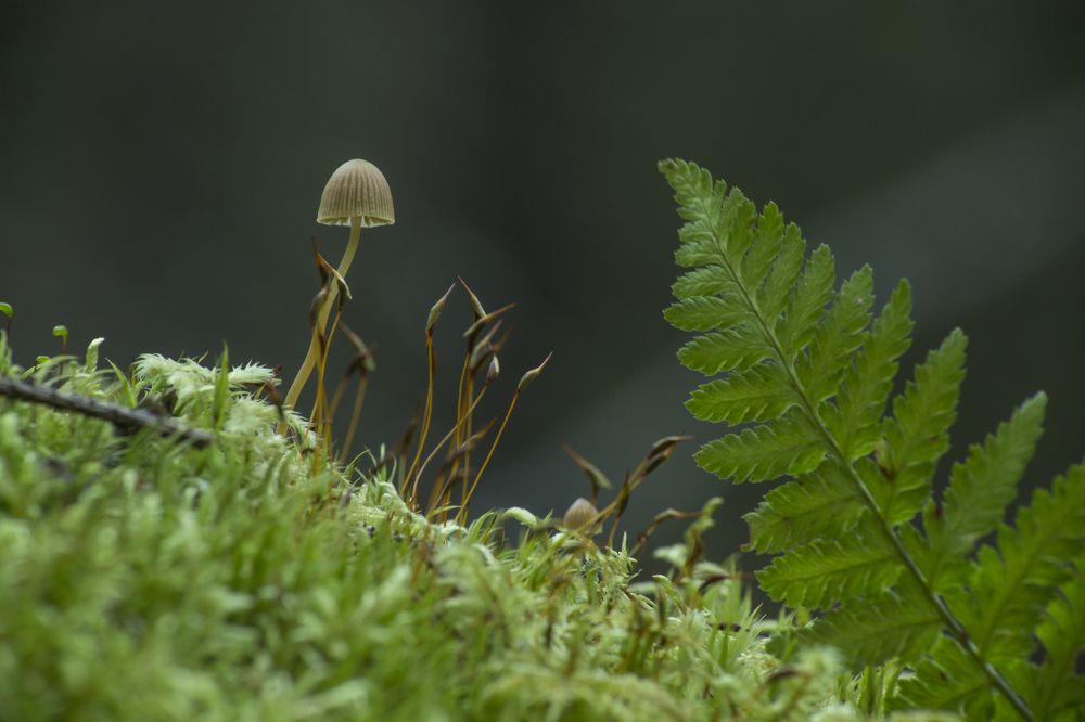 Photograph by KateAkh