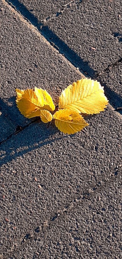 Photograph by Евгения Ульянова