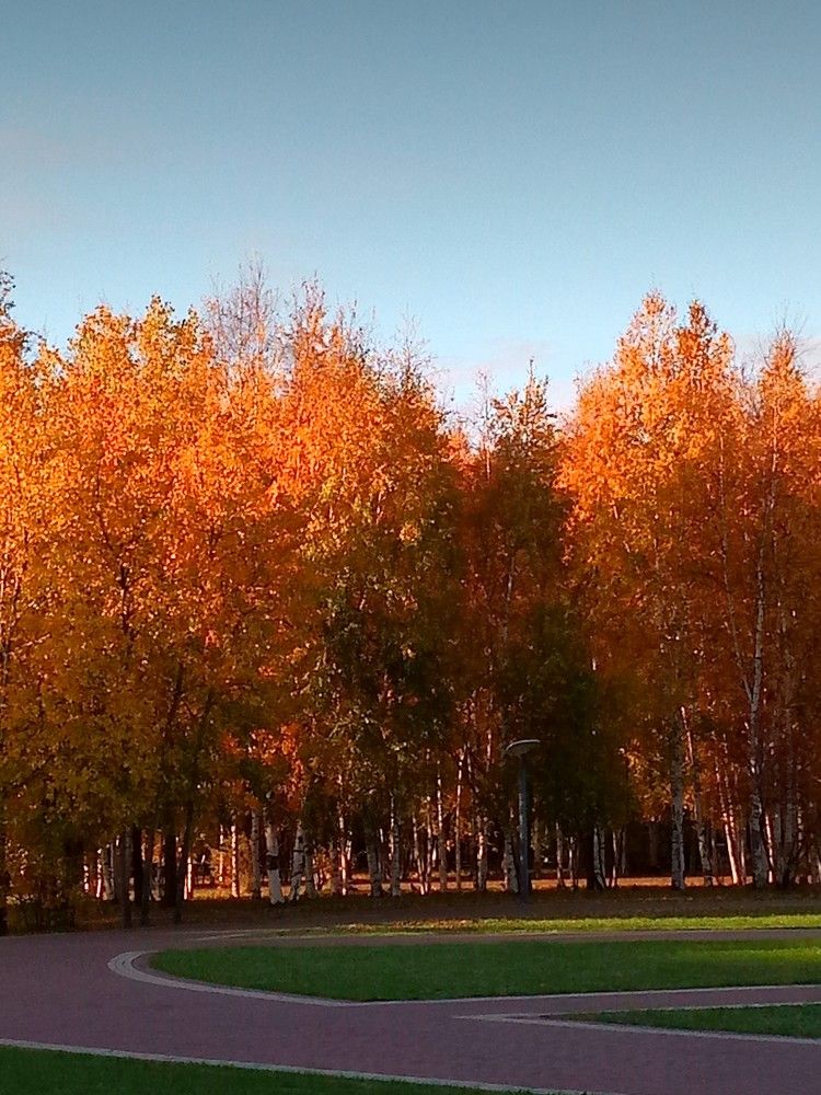 Photograph by Виталий Са