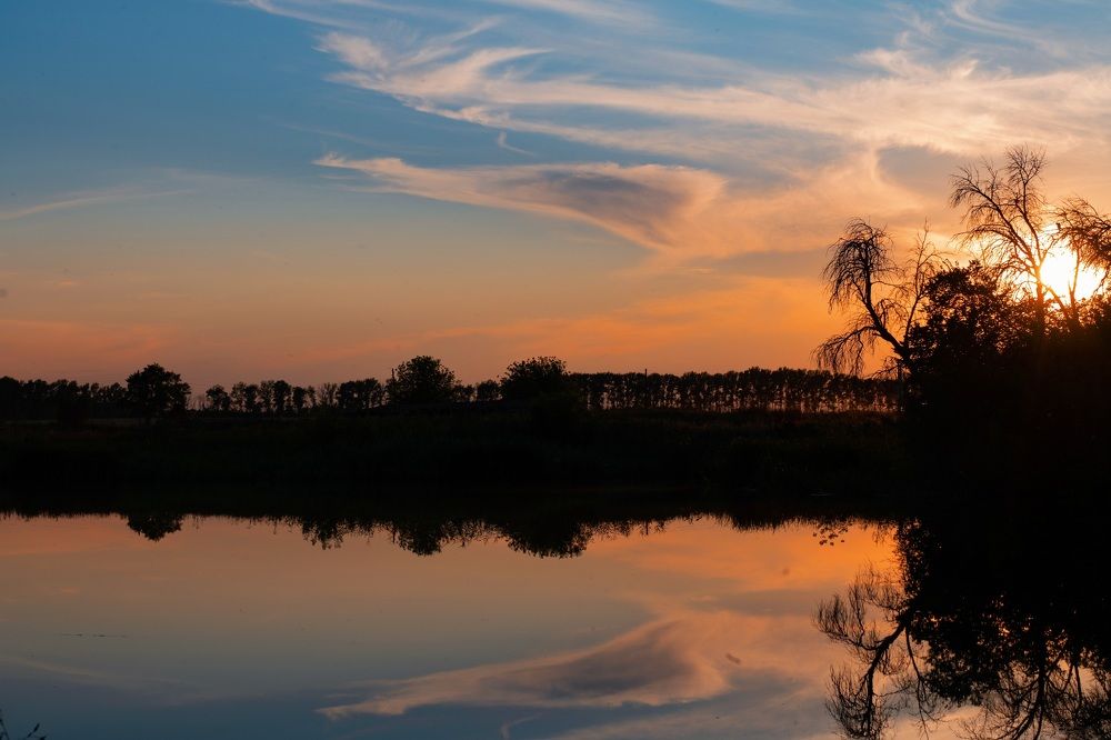 Photograph by Анна Новосельцева