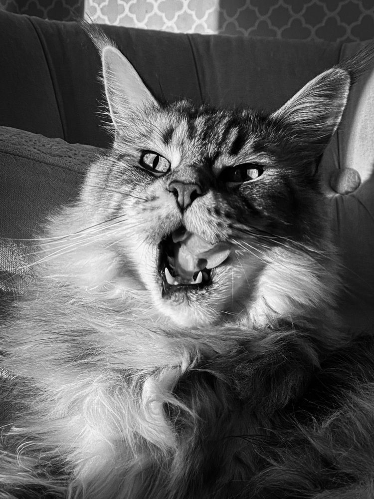 Photograph by Алан Гасымов