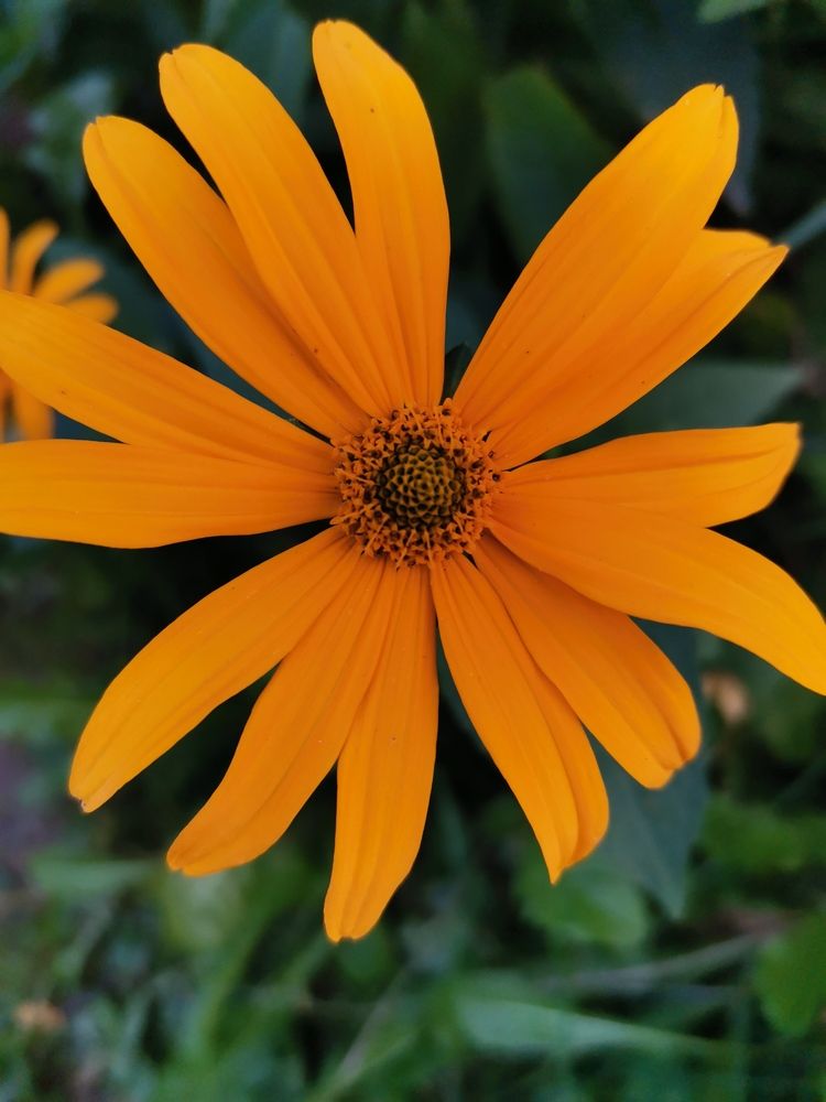 Photograph by Ольга Горбаткова