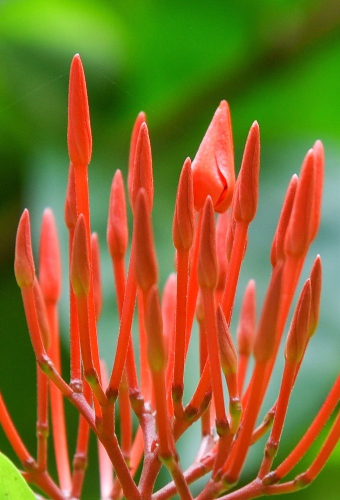 Photograph by ARJUN RAJPUT