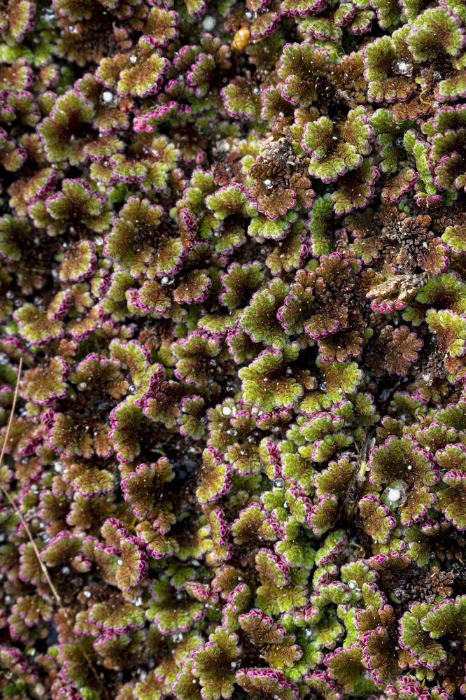 Photograph by Efi Laskari