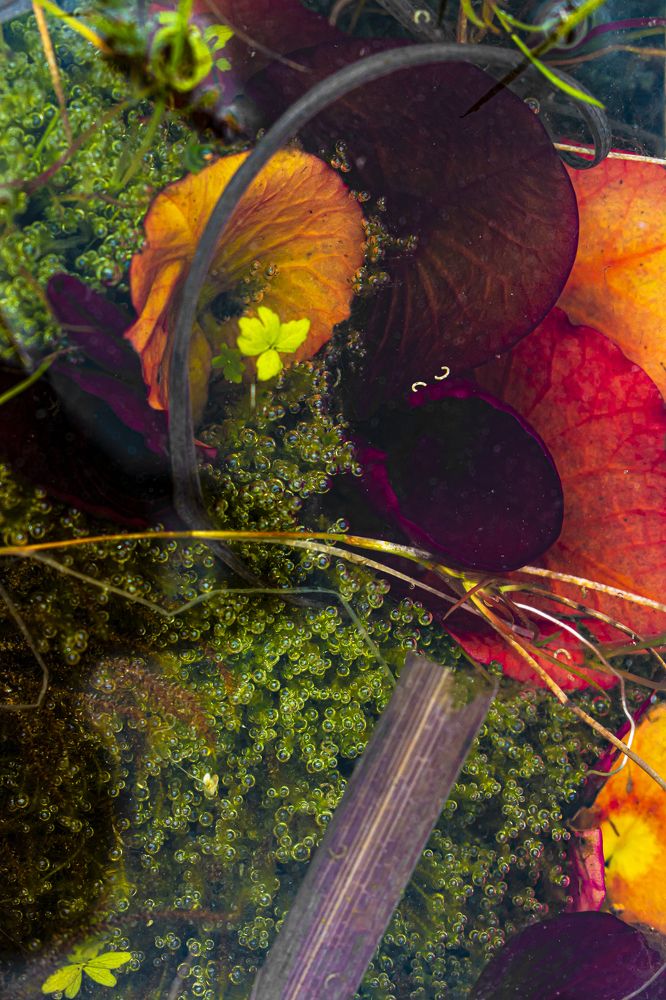 Photograph by Efi Laskari