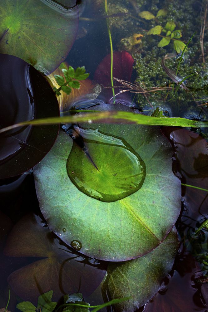 Photograph by Efi Laskari