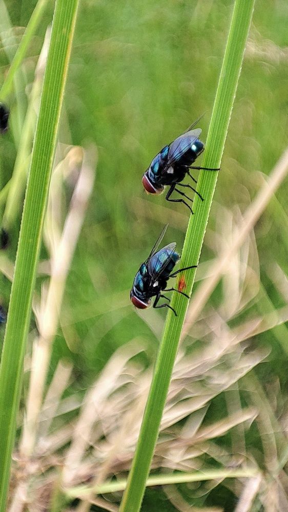 Photograph by VENKATA KRISHNA ANAND REDDY PARLAPALLI
