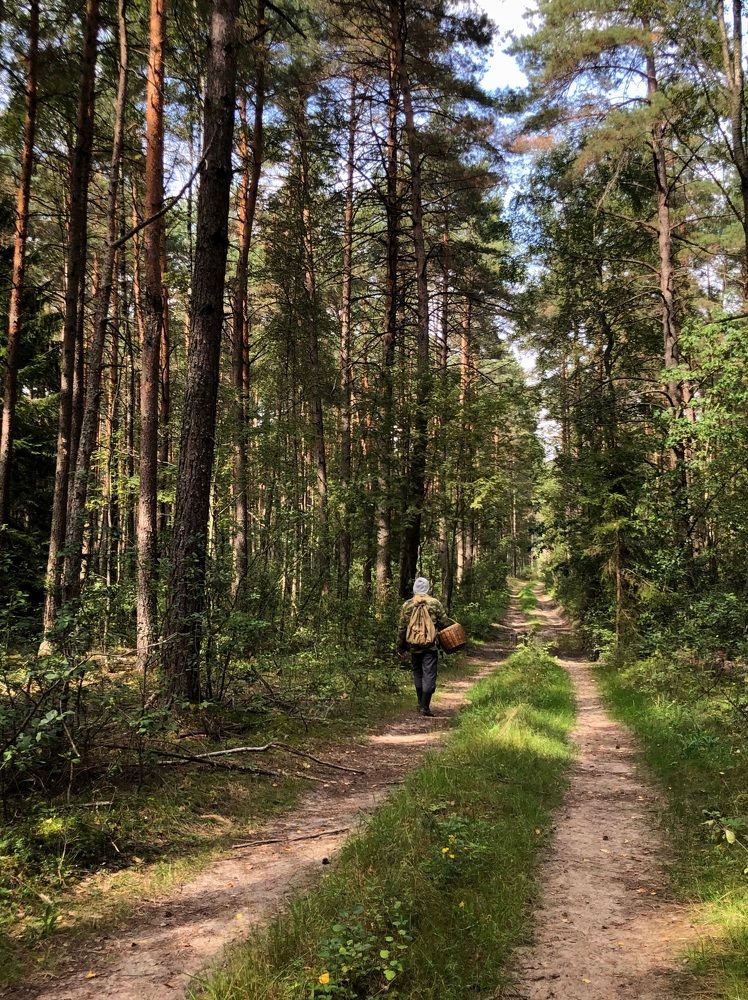 Photograph by Halina Mitsevich