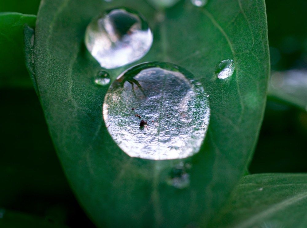 Photograph by Владимир Желтов
