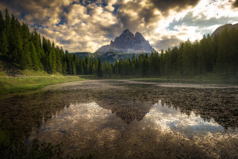 Photograph by Zavaydin Zavaydinov