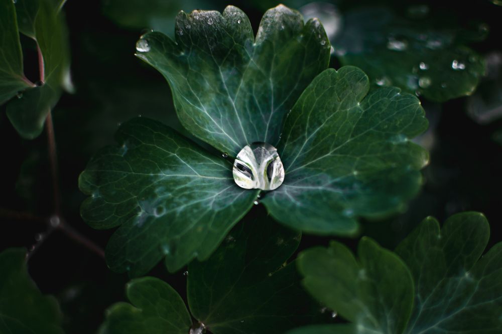 Photograph by Екатерина Абатурова