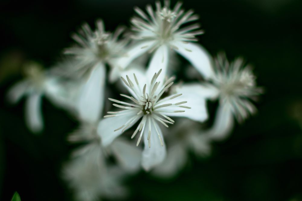 Photograph by Екатерина Абатурова